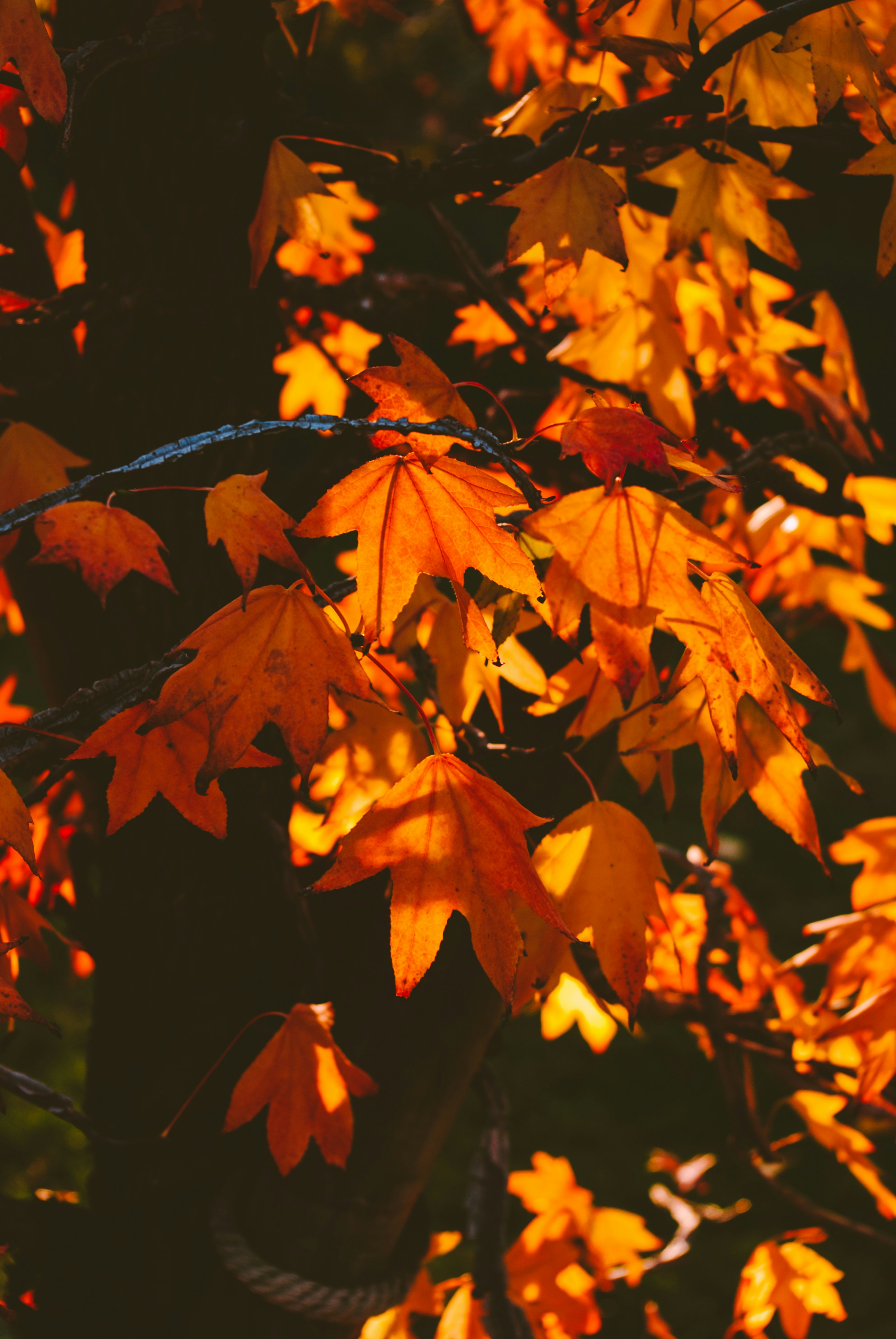 Photo by moonmoons_days