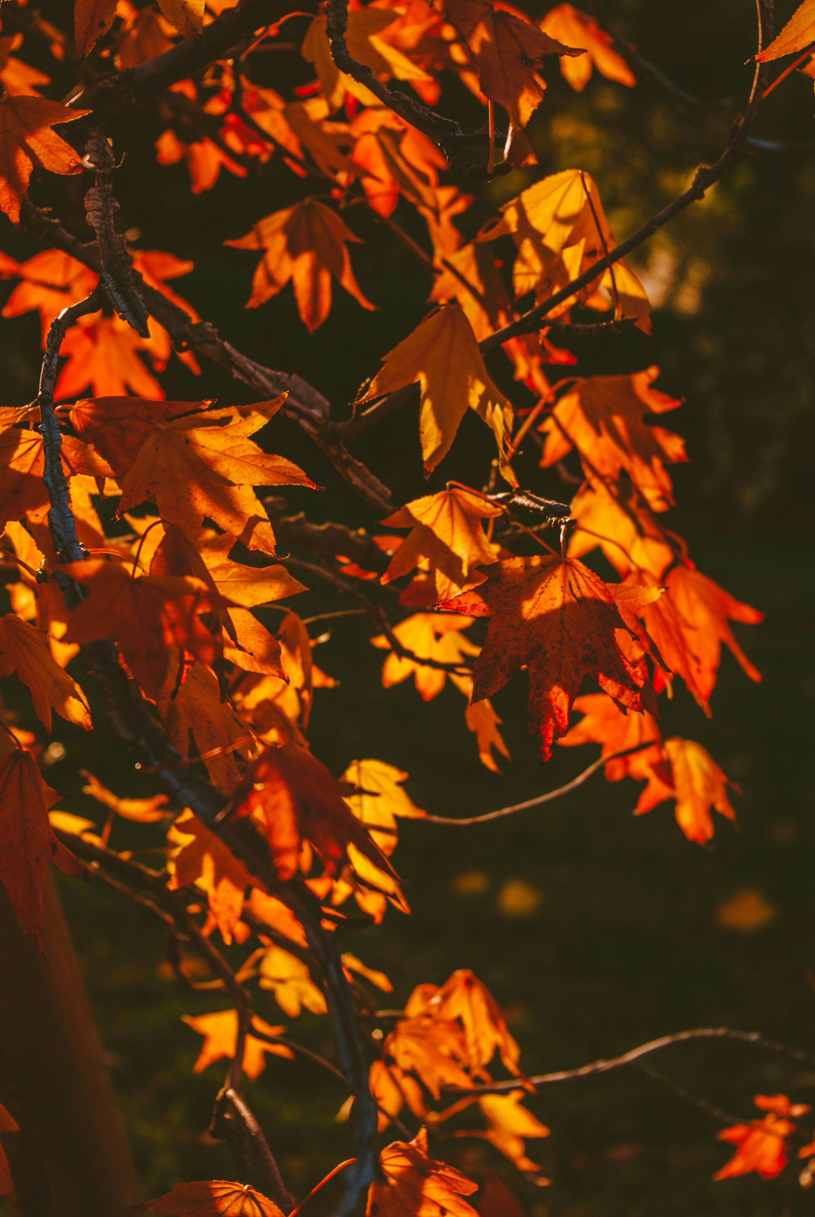 Photo by moonmoons_days