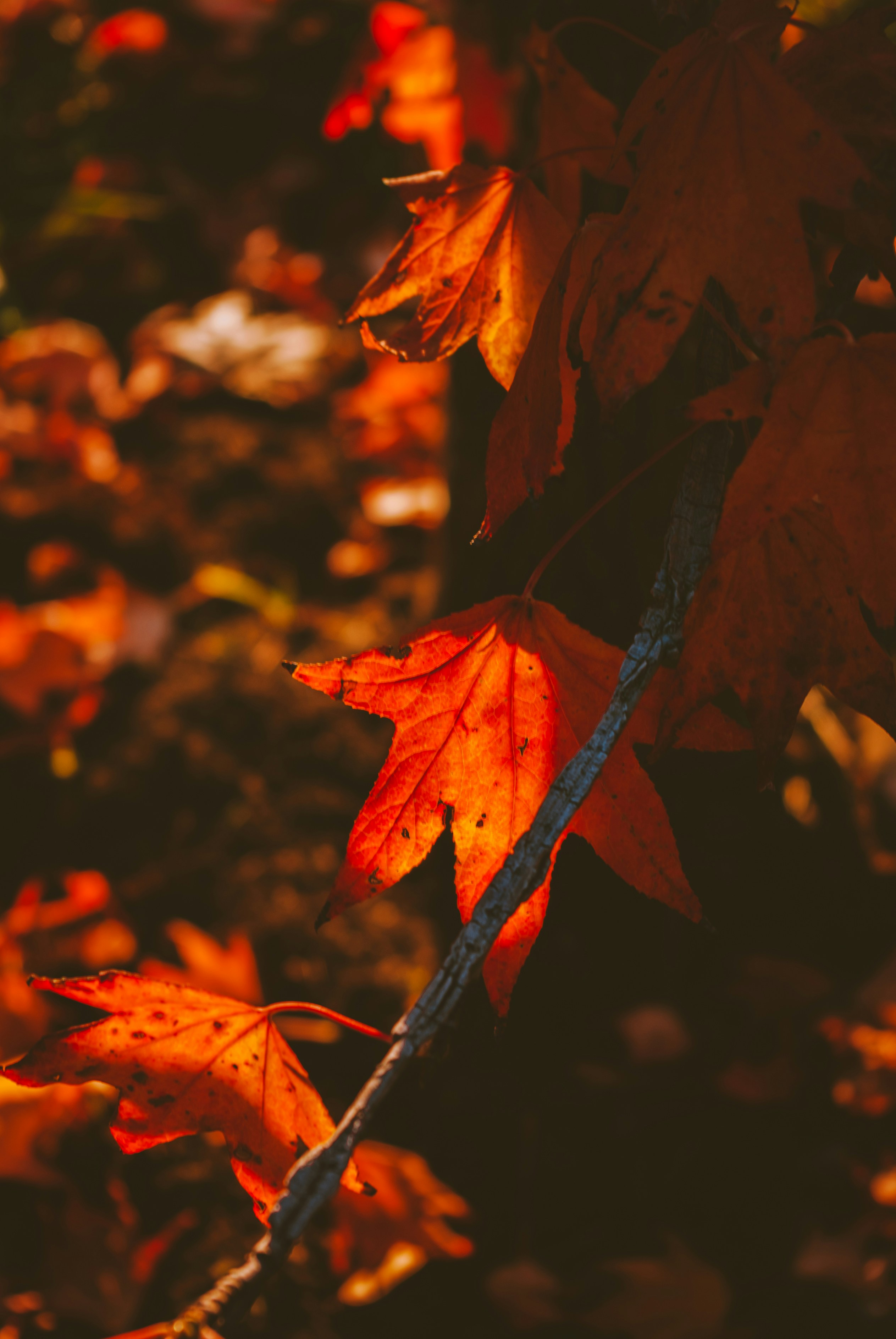 Photo by moonmoons_days