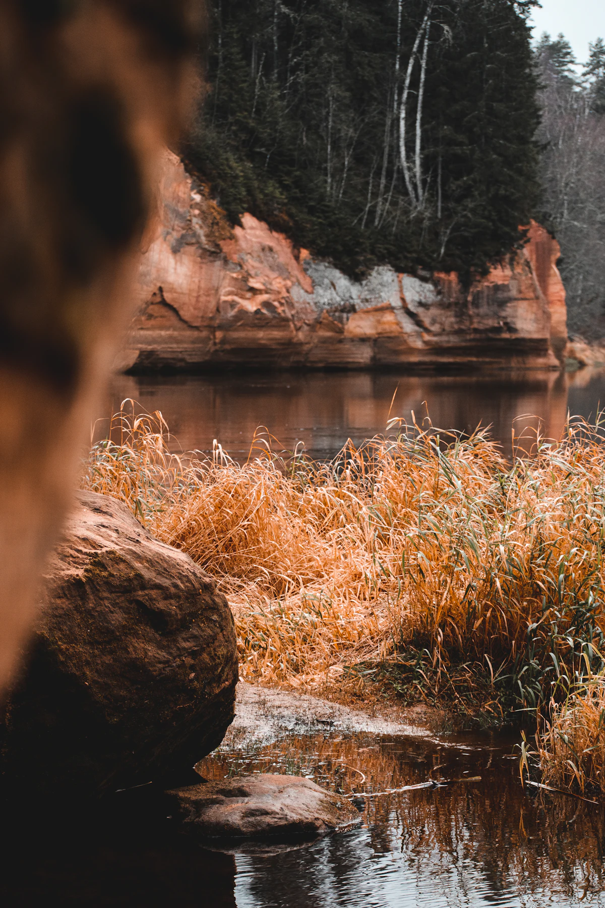 A red sandstone cliff above a river at Ērgļu klintis, near Cēsis, with dry grass in front