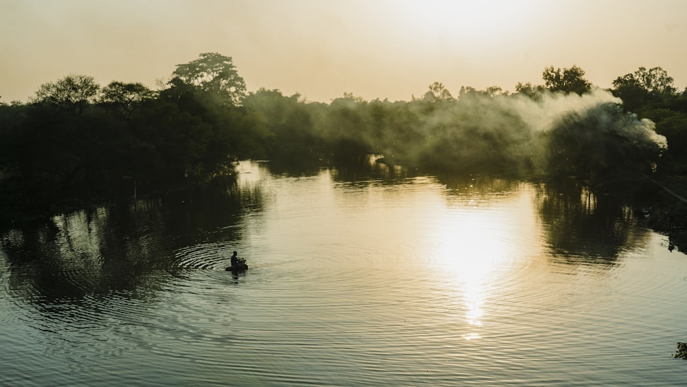 a person in a body of water surrounded by trees