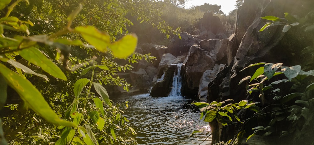 uma cachoeira em uma floresta