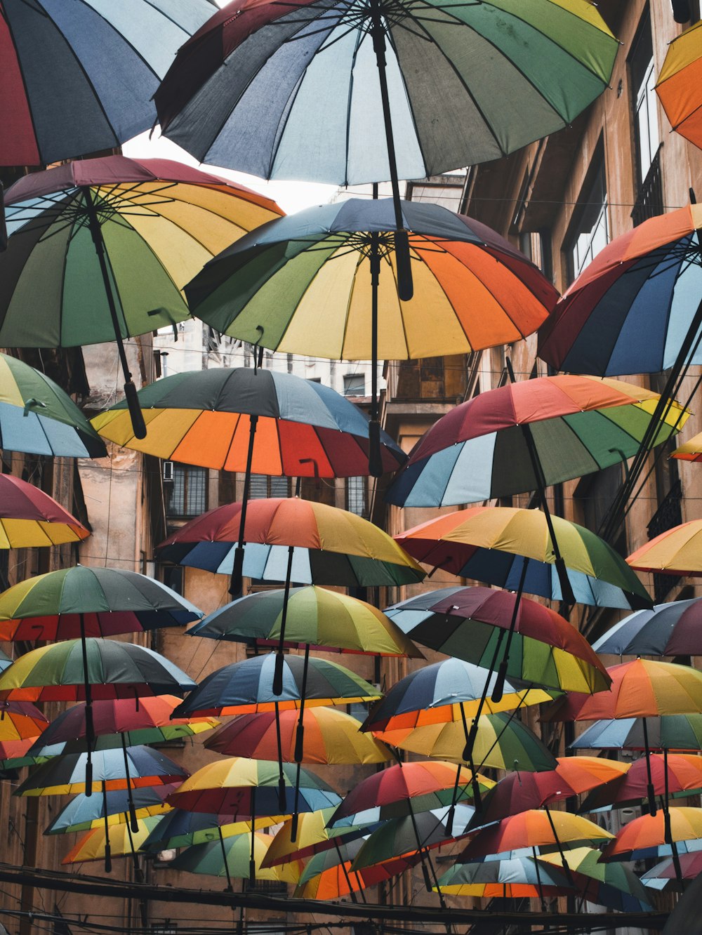 Eine Gruppe bunter Regenschirme