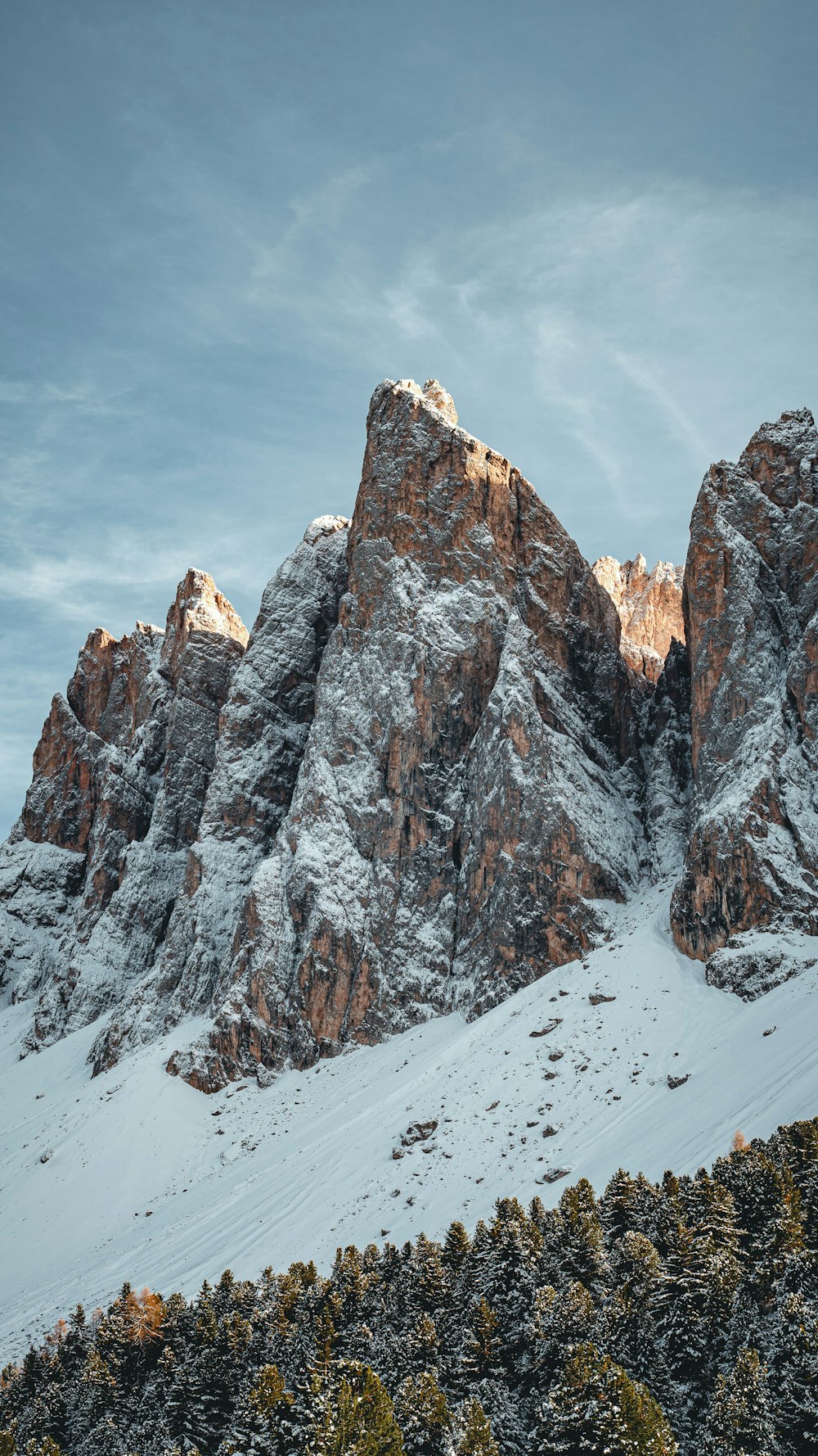 a snowy mountain with trees