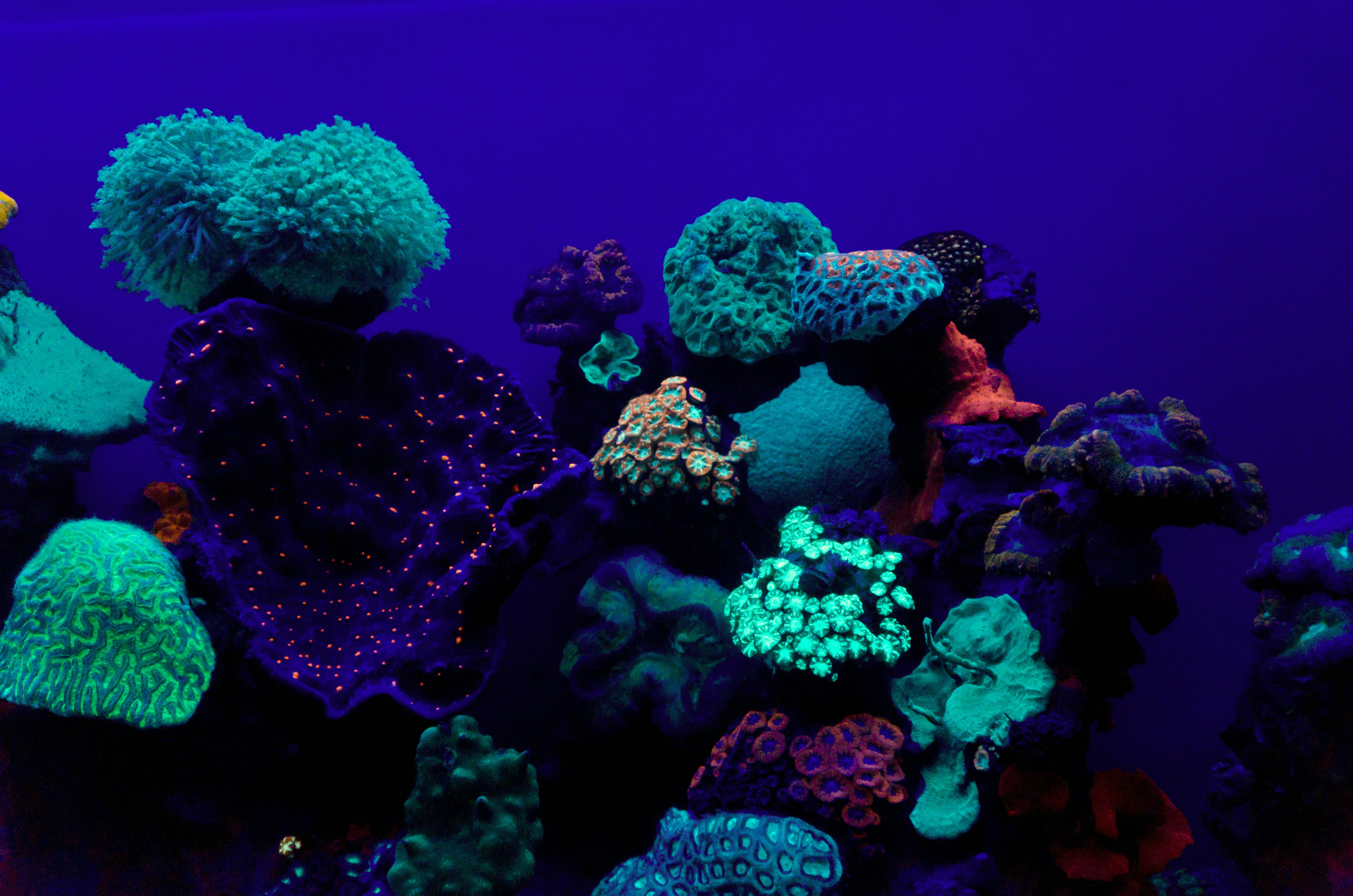 Photo by julia_shalev