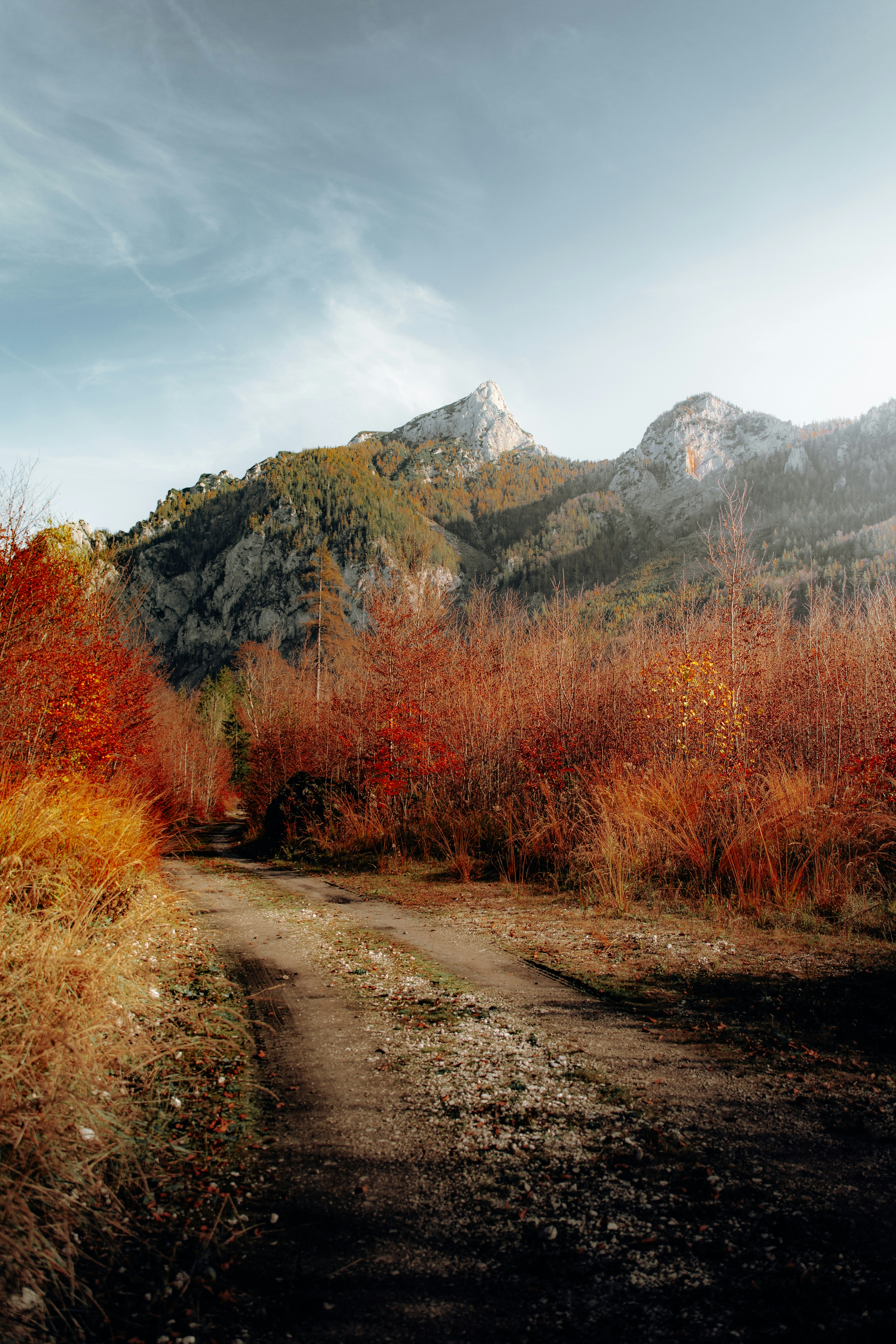 Photo by danieljschwarz