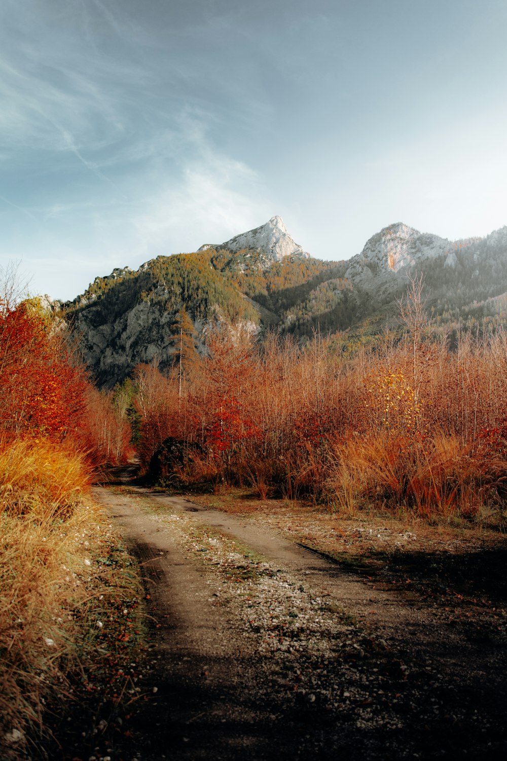 a dirt road leading to a mountain