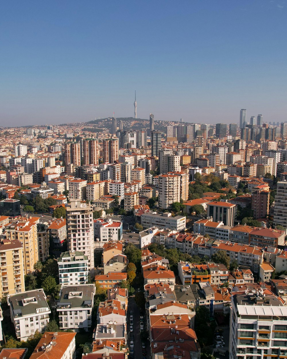 a city with many buildings