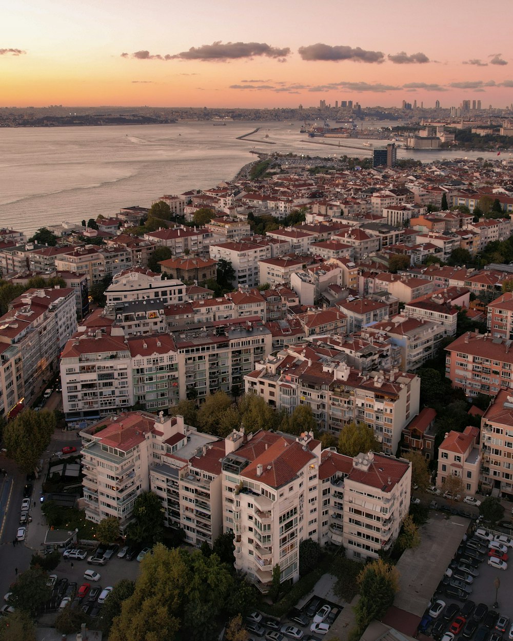 a city with many buildings and a body of water in the background