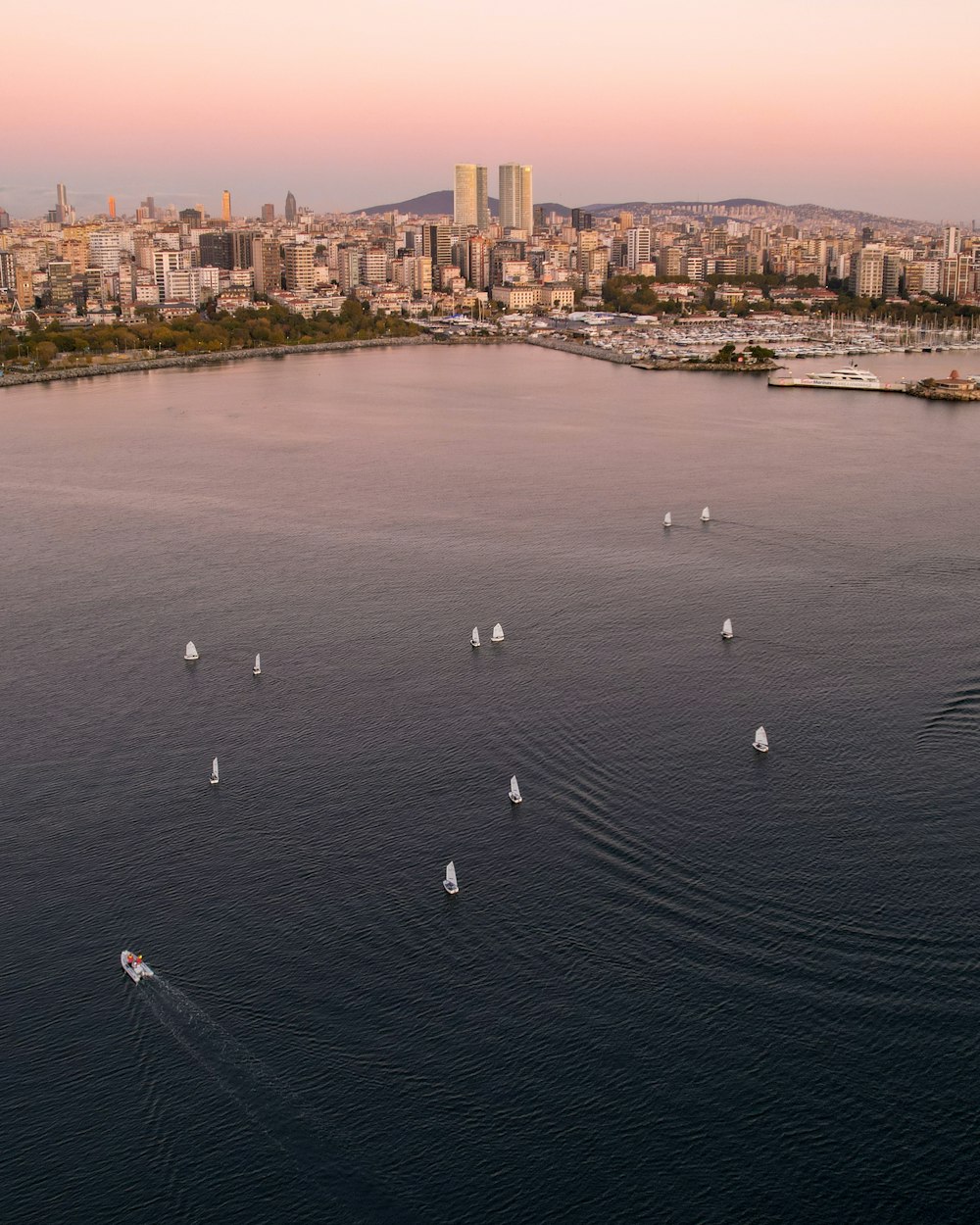 a group of birds on a body of water with a city in the background