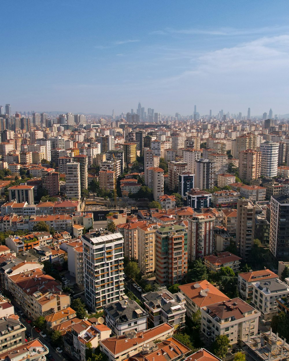 a city with many buildings