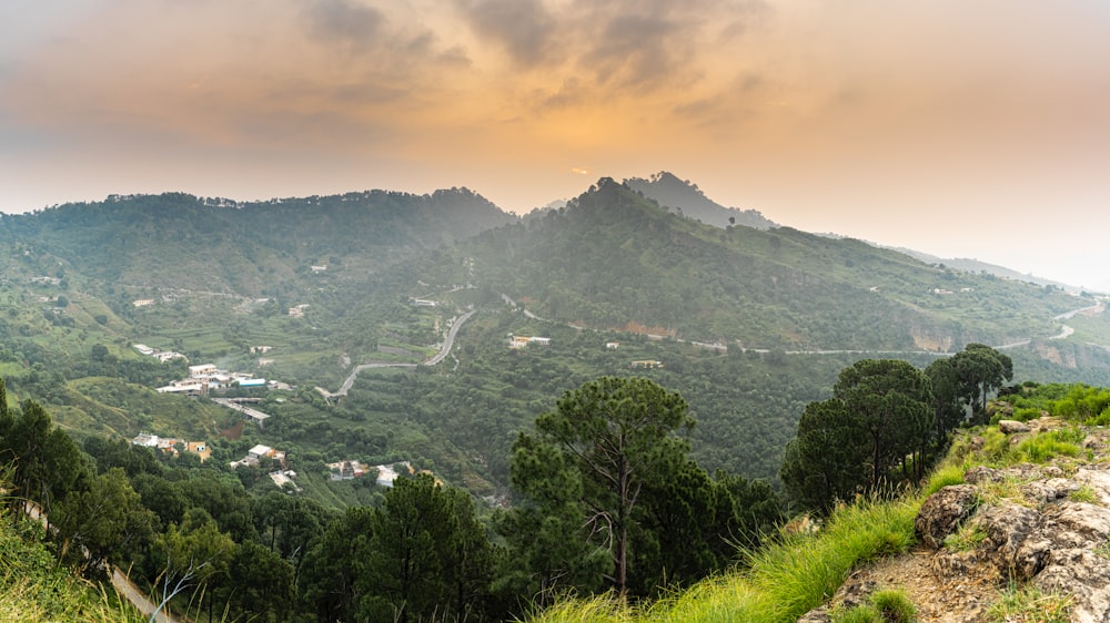 a landscape with trees and a mountain in the background