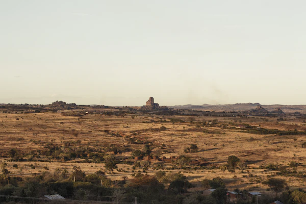 Wildlife in Kidepo