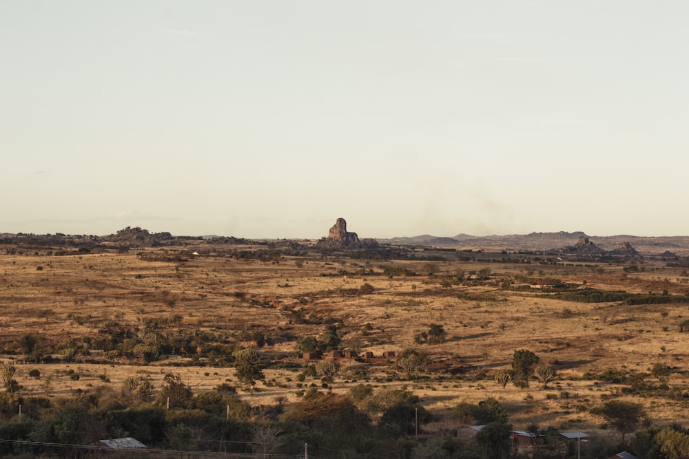 a landscape with trees and a building in the distance