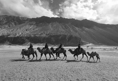 Ancient silk road caravan crossing a mountain pass at sunset.