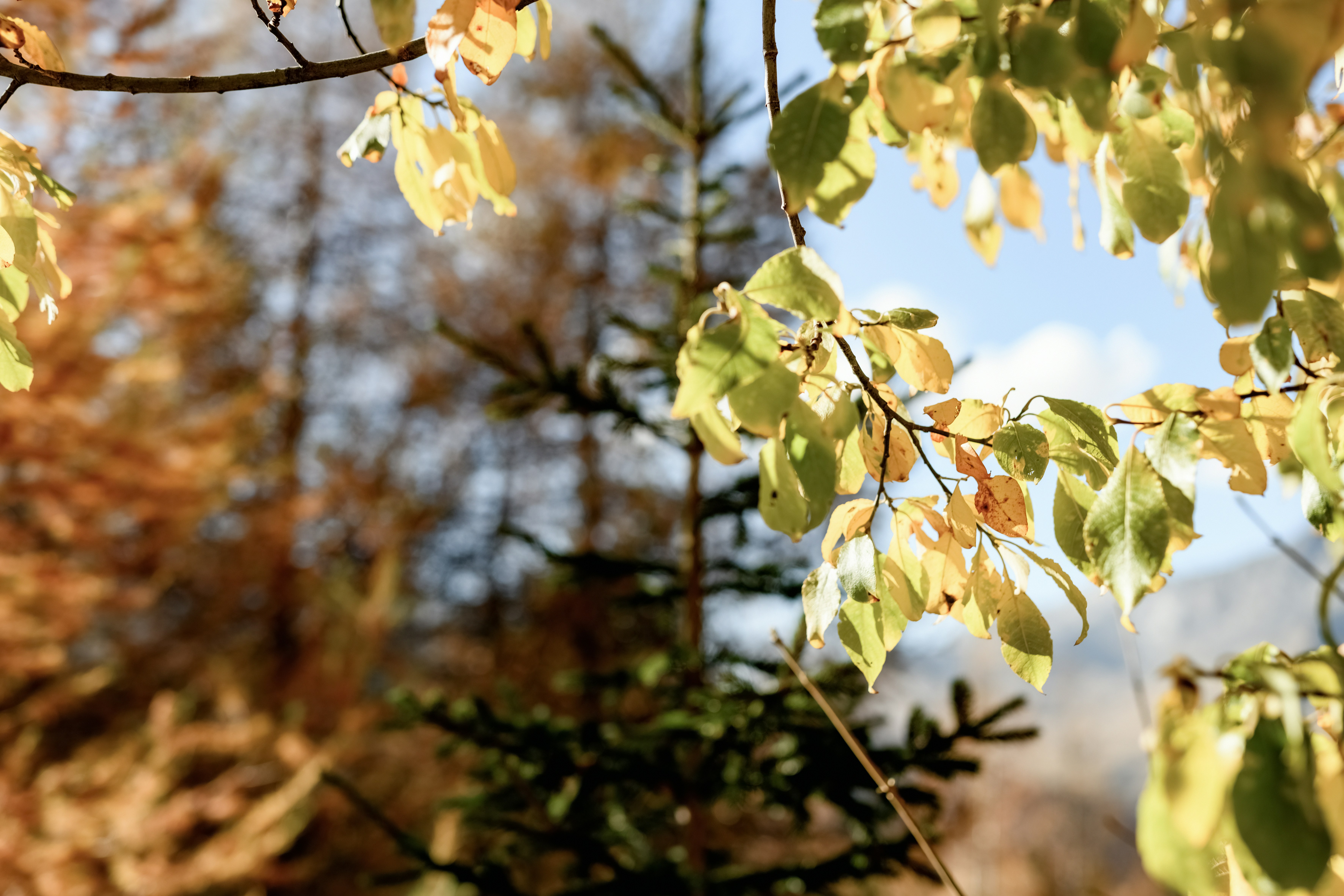 Photo by lauraadaiphoto