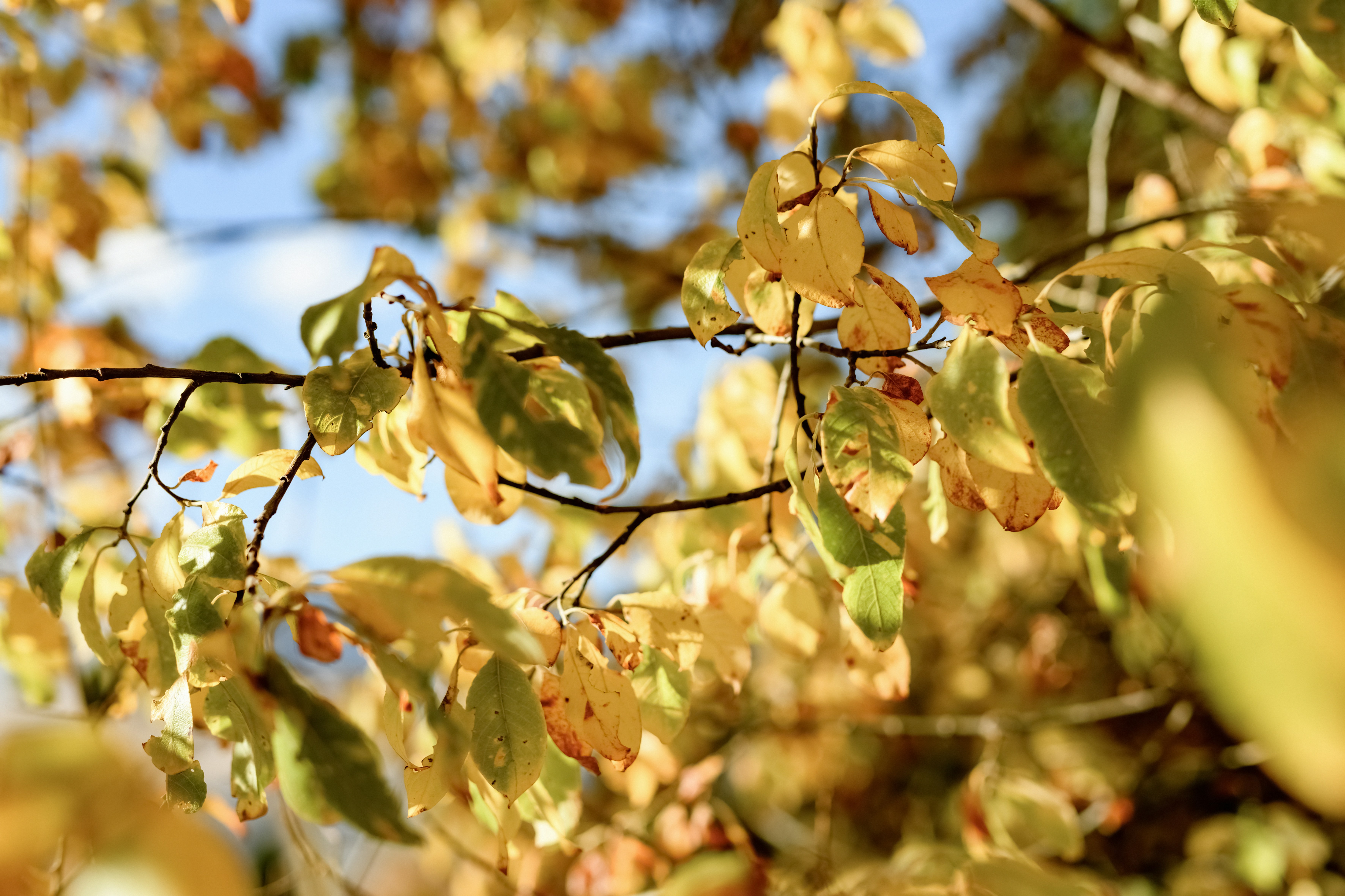 Photo by lauraadaiphoto