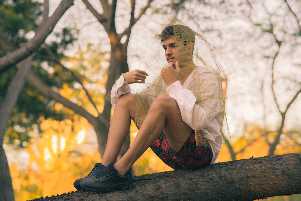 a person sitting on a tree