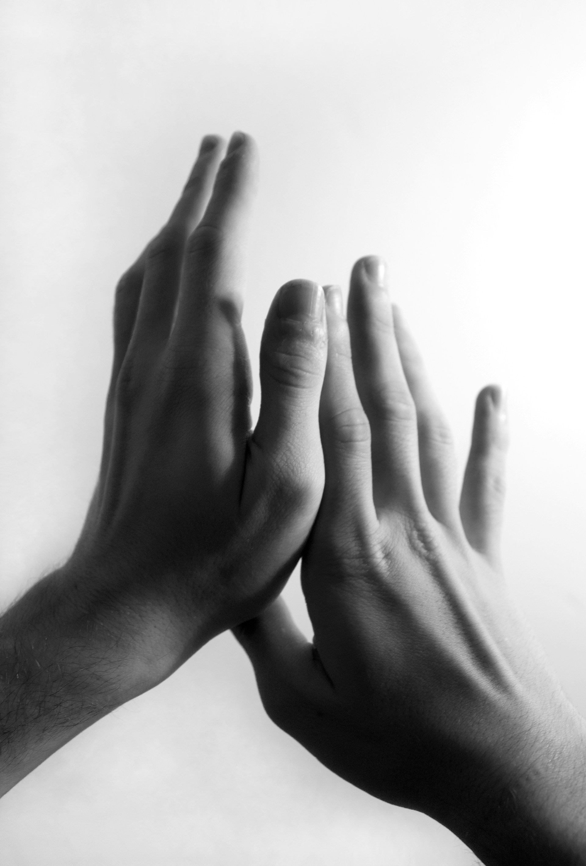 a close-up of a hand