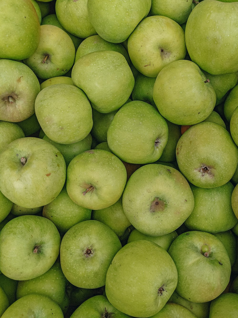 a pile of green apples