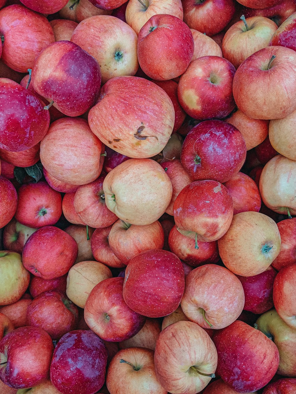 a pile of red apples