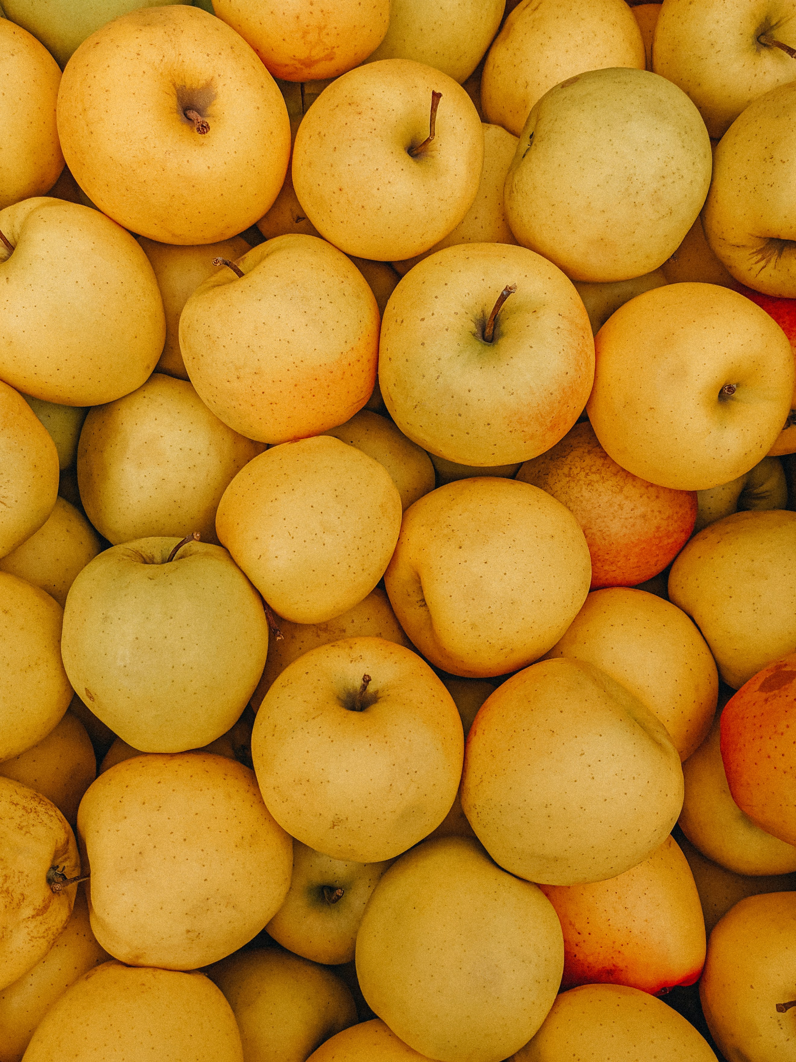 Photo by thecyclichedgehog