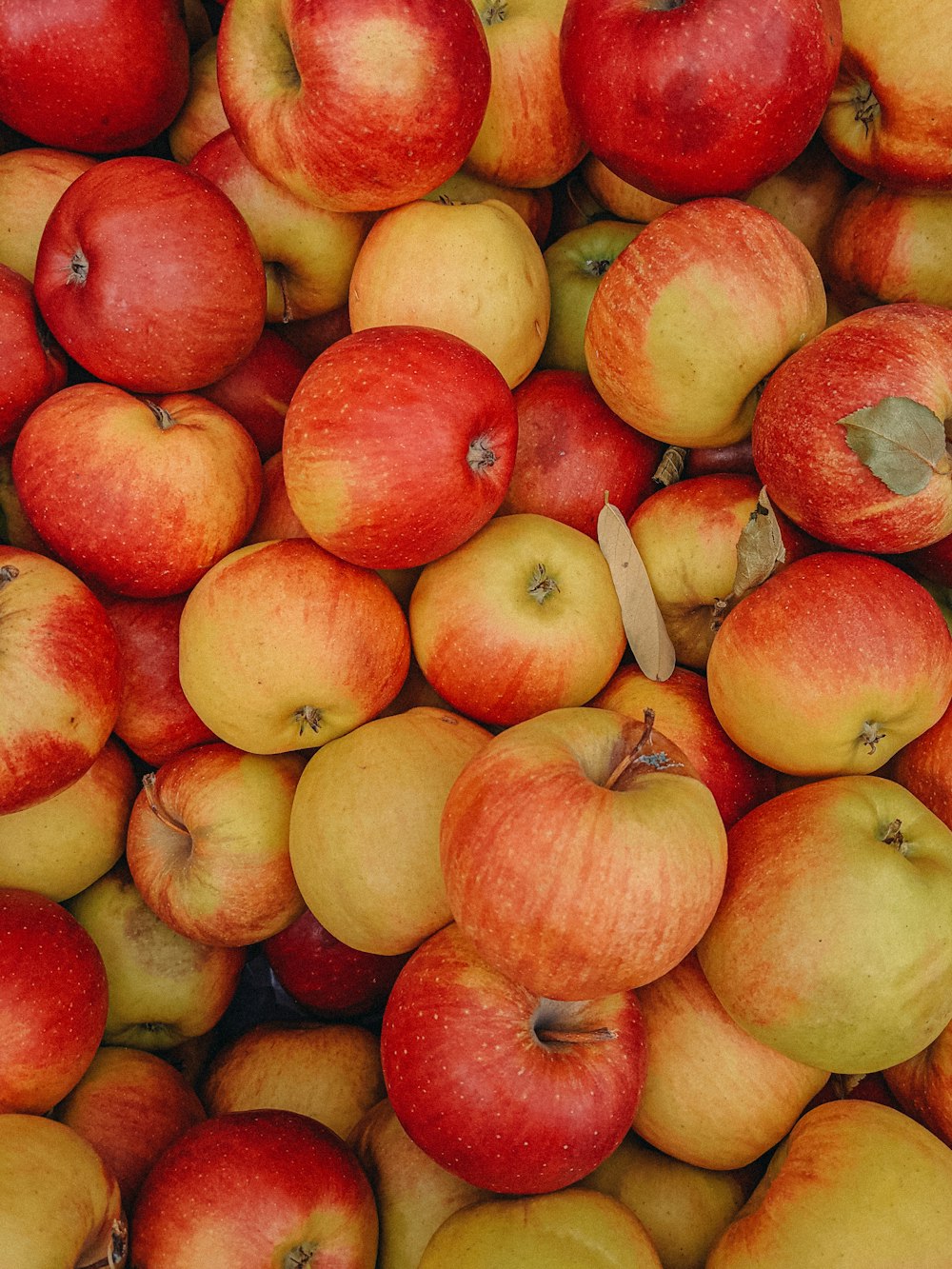 a pile of apples