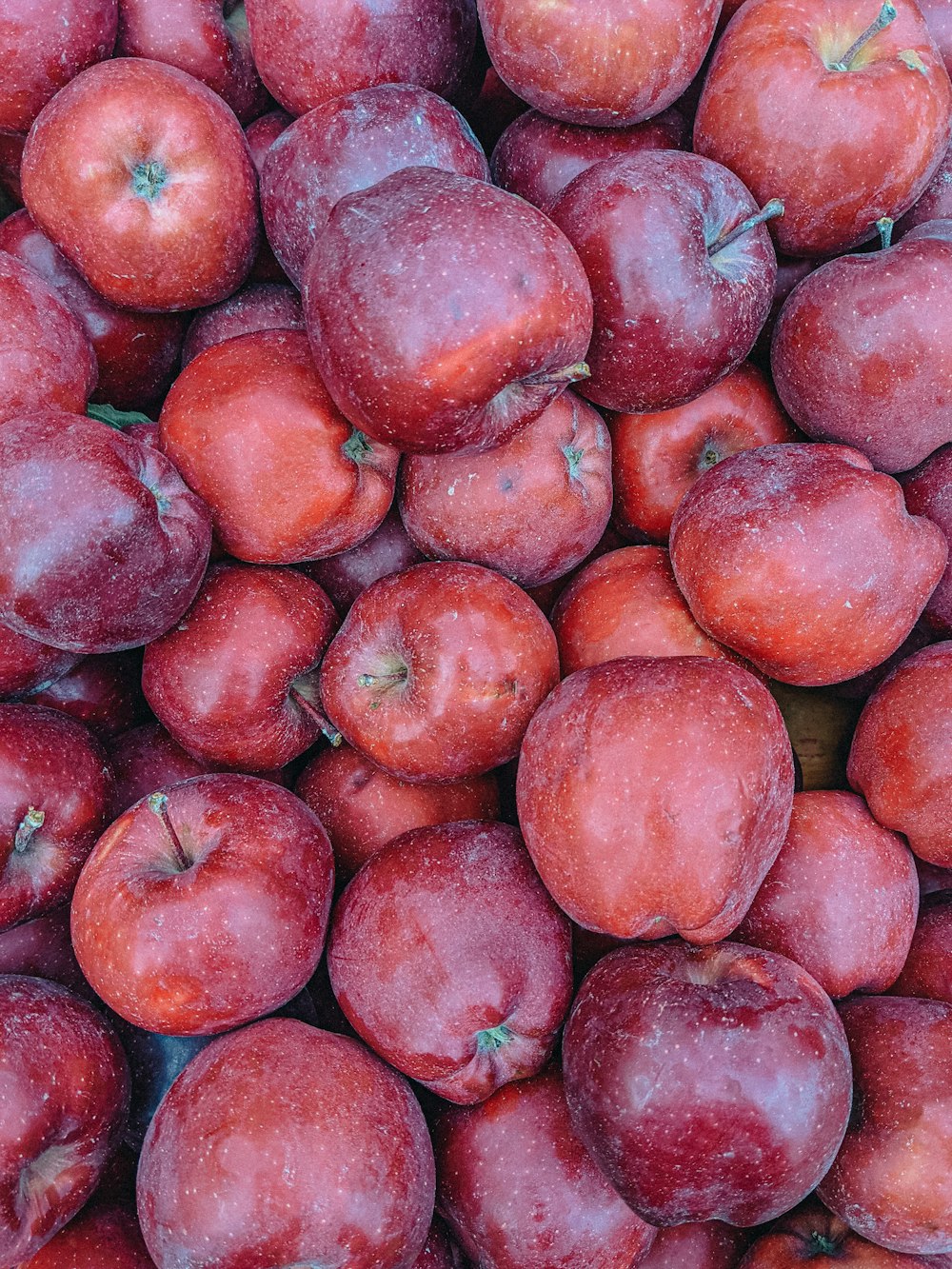 un tas de pommes de terre rouges