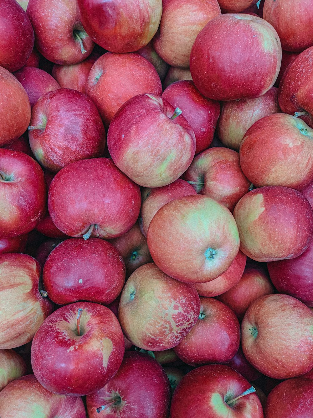 a pile of red apples