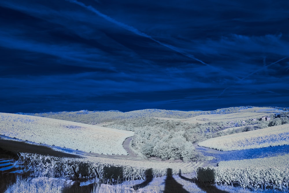 a snowy landscape with trees and a blue sky