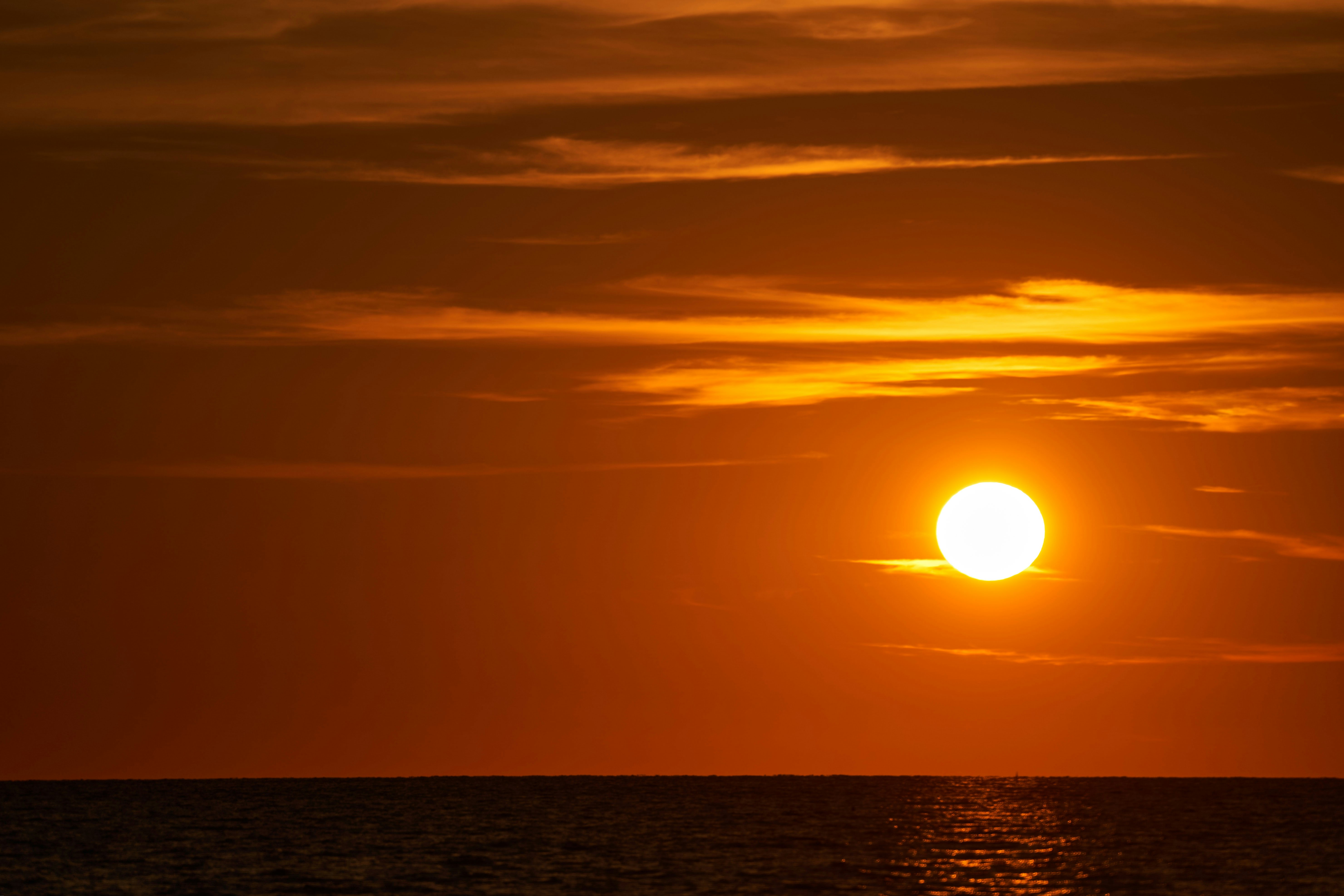 Photo by wolfgang_hasselmann