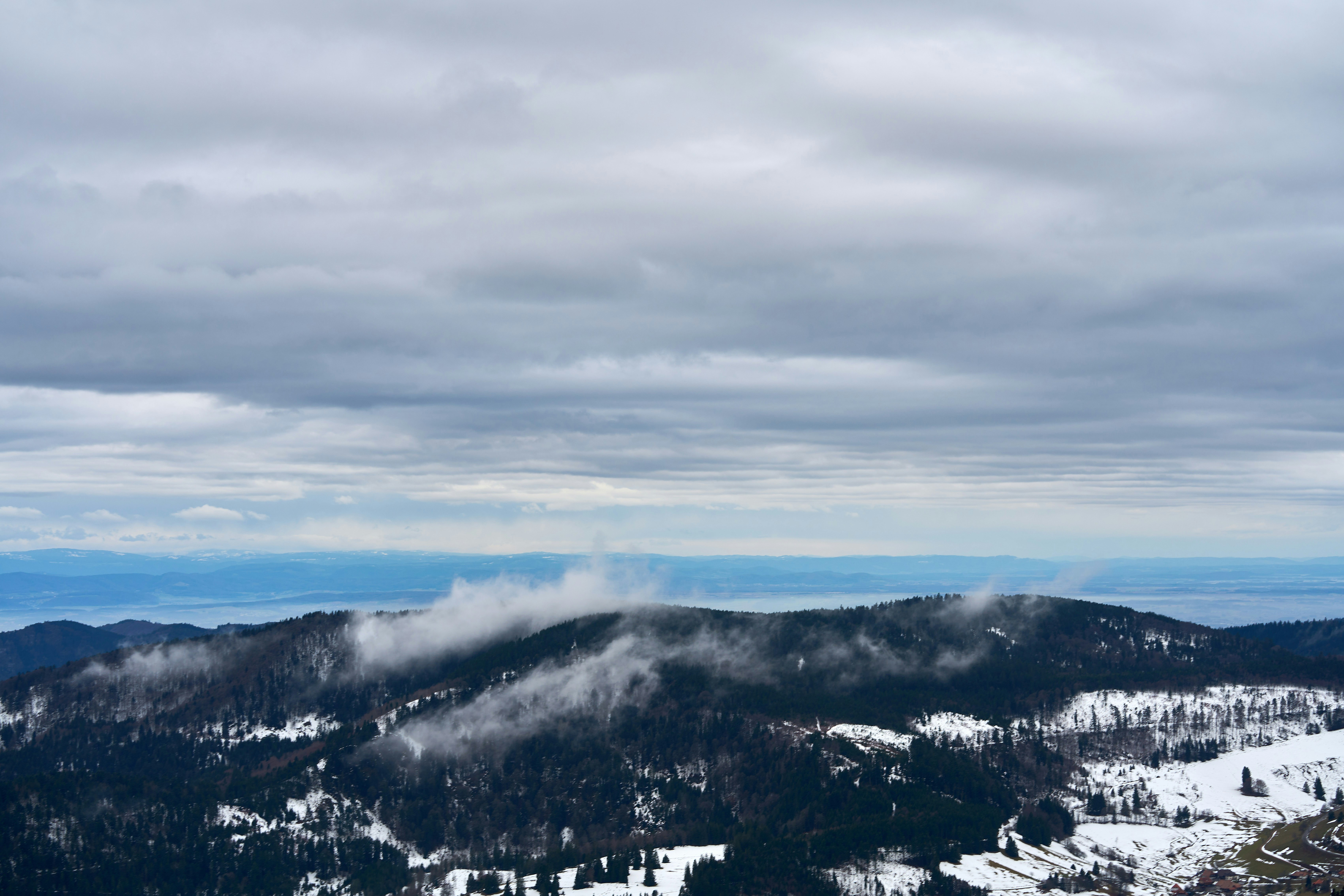 Photo by wolfgang_hasselmann