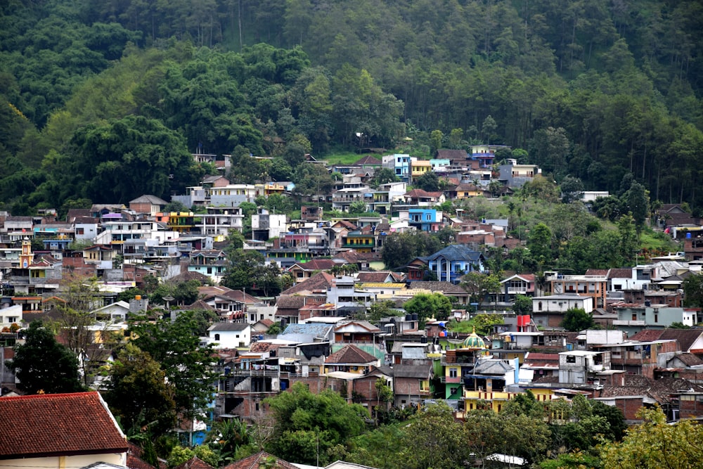 a group of houses in a wooded area