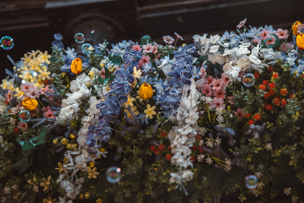 a close up of flowers