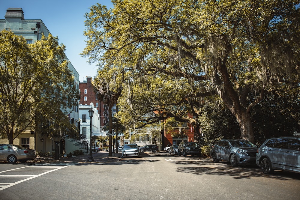 uma rua com carros estacionados ao lado e árvores ao lado