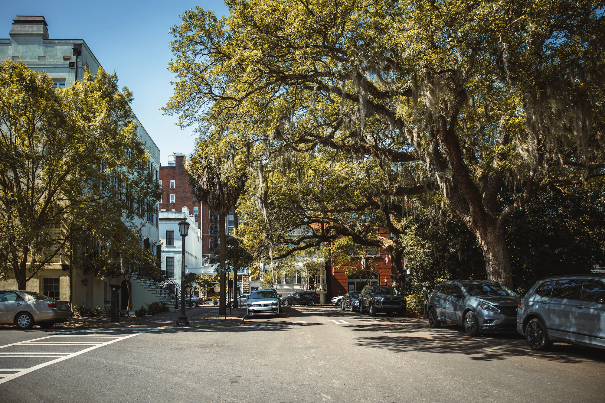 A Savannah street under live oaks and Spanish moss