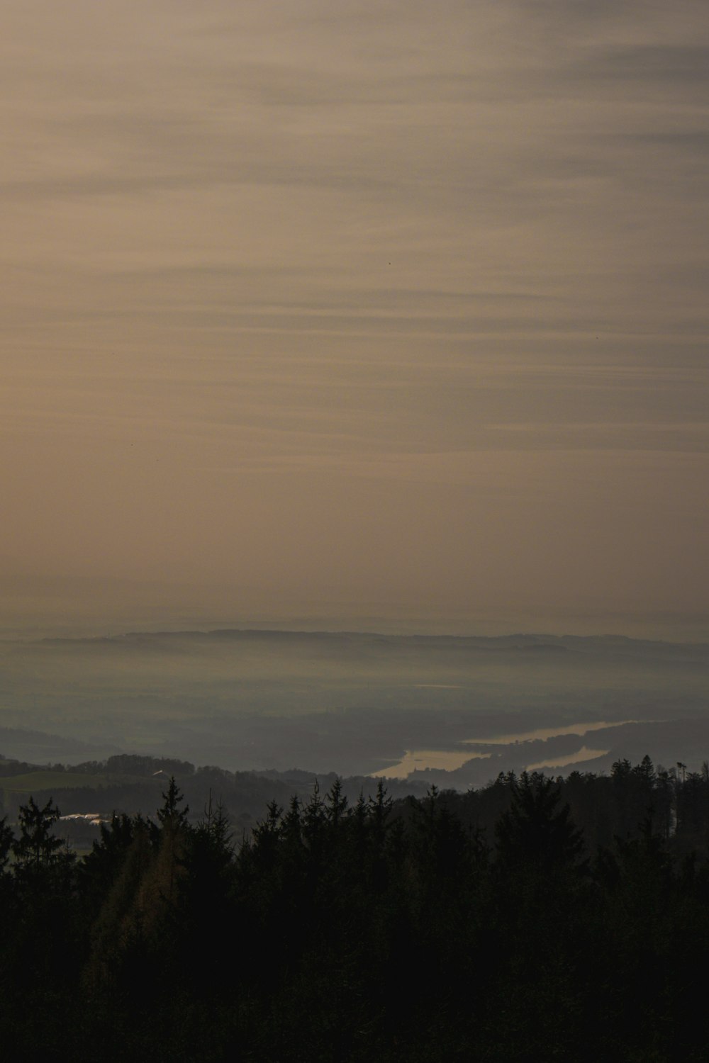 a landscape with trees and fog