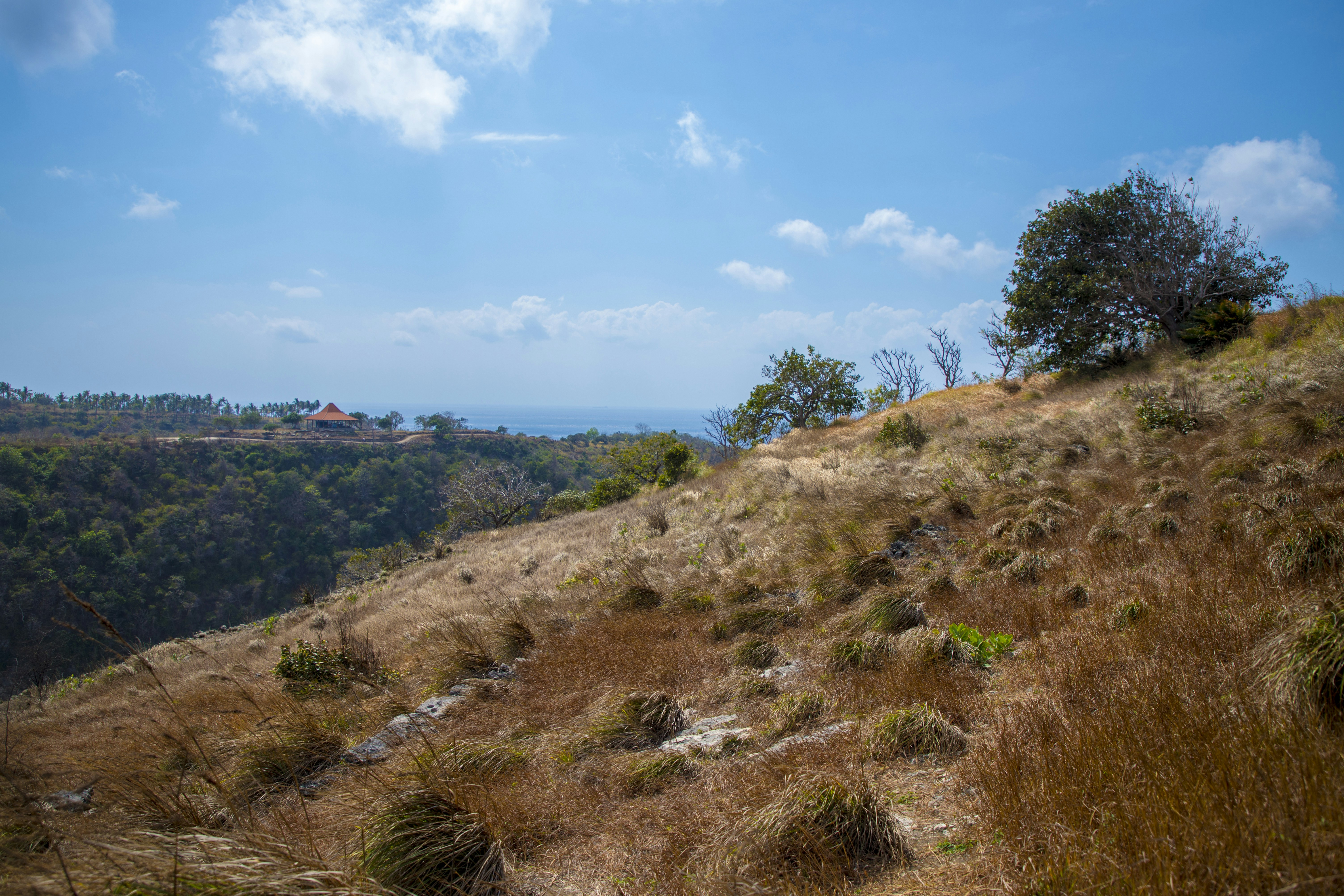 Photo by bahr_splash