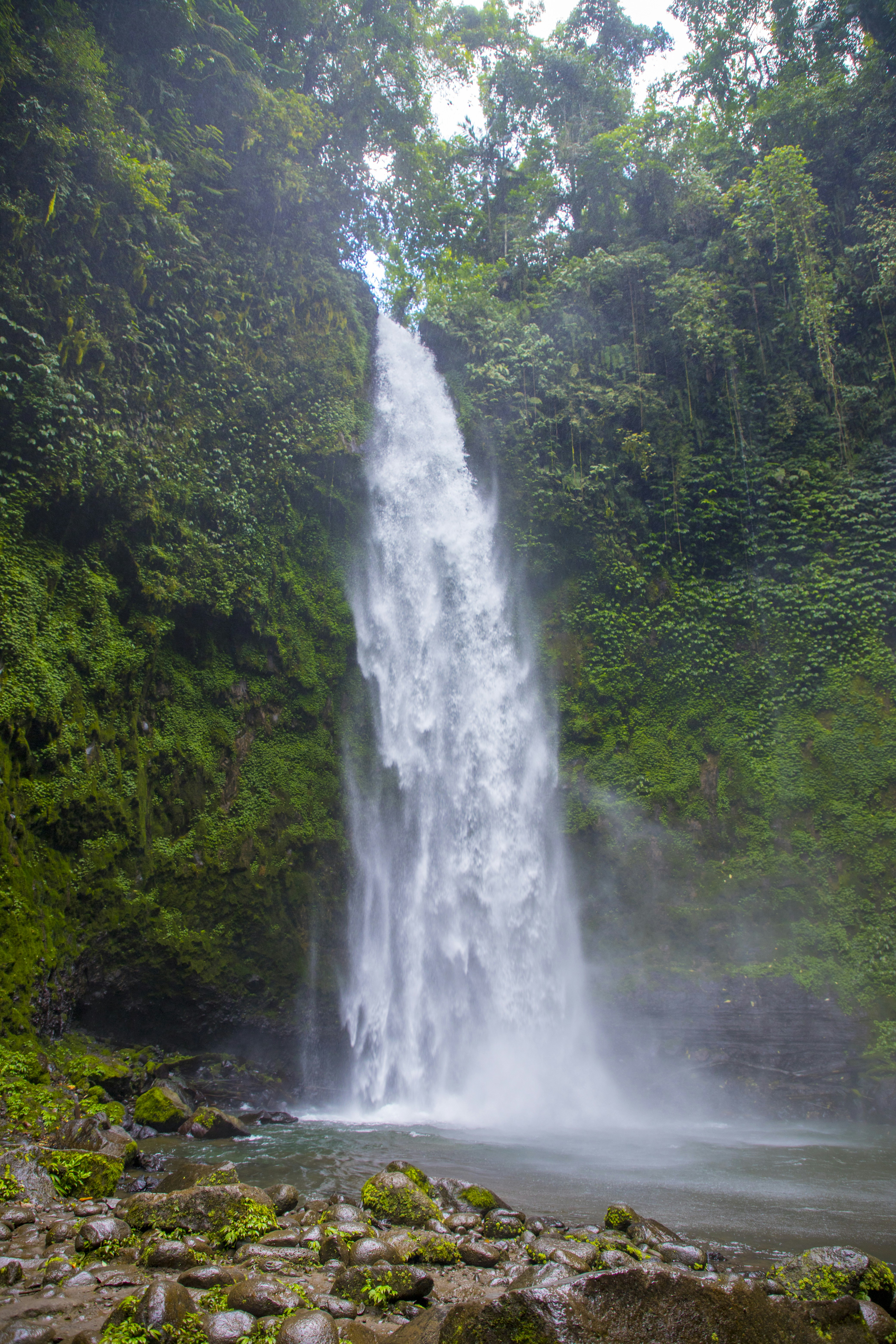 Photo by bahr_splash