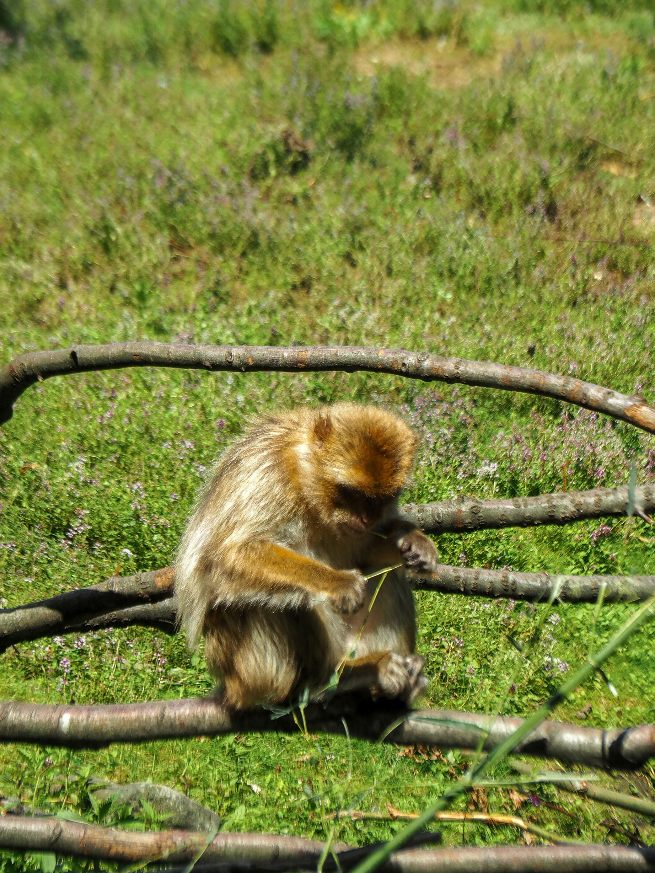 Background image for slide 1