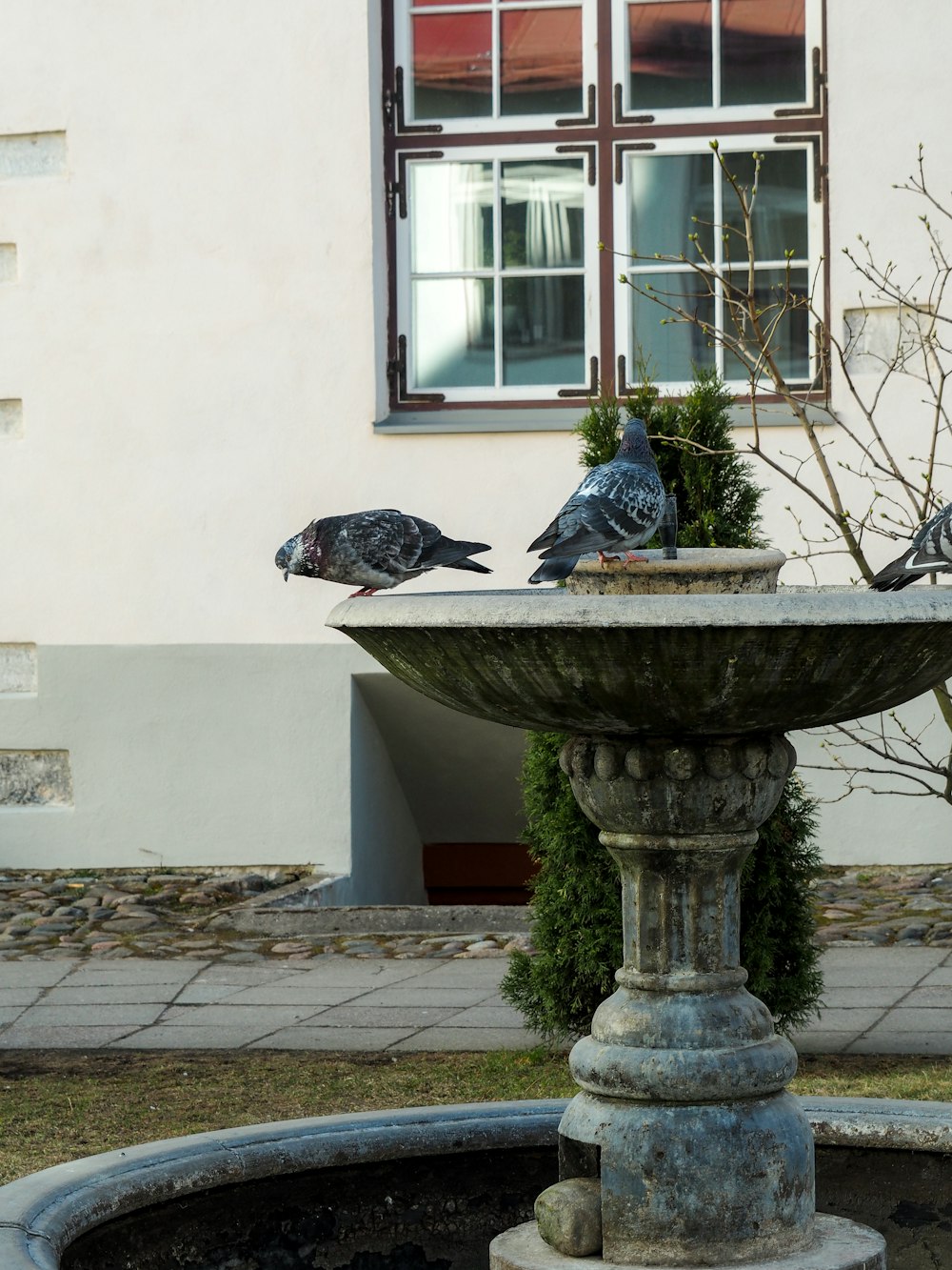 a fountain with birds on top