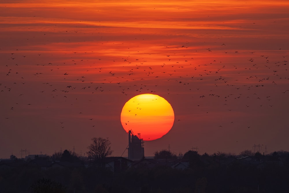 a large orange sunset