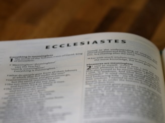 text, letter