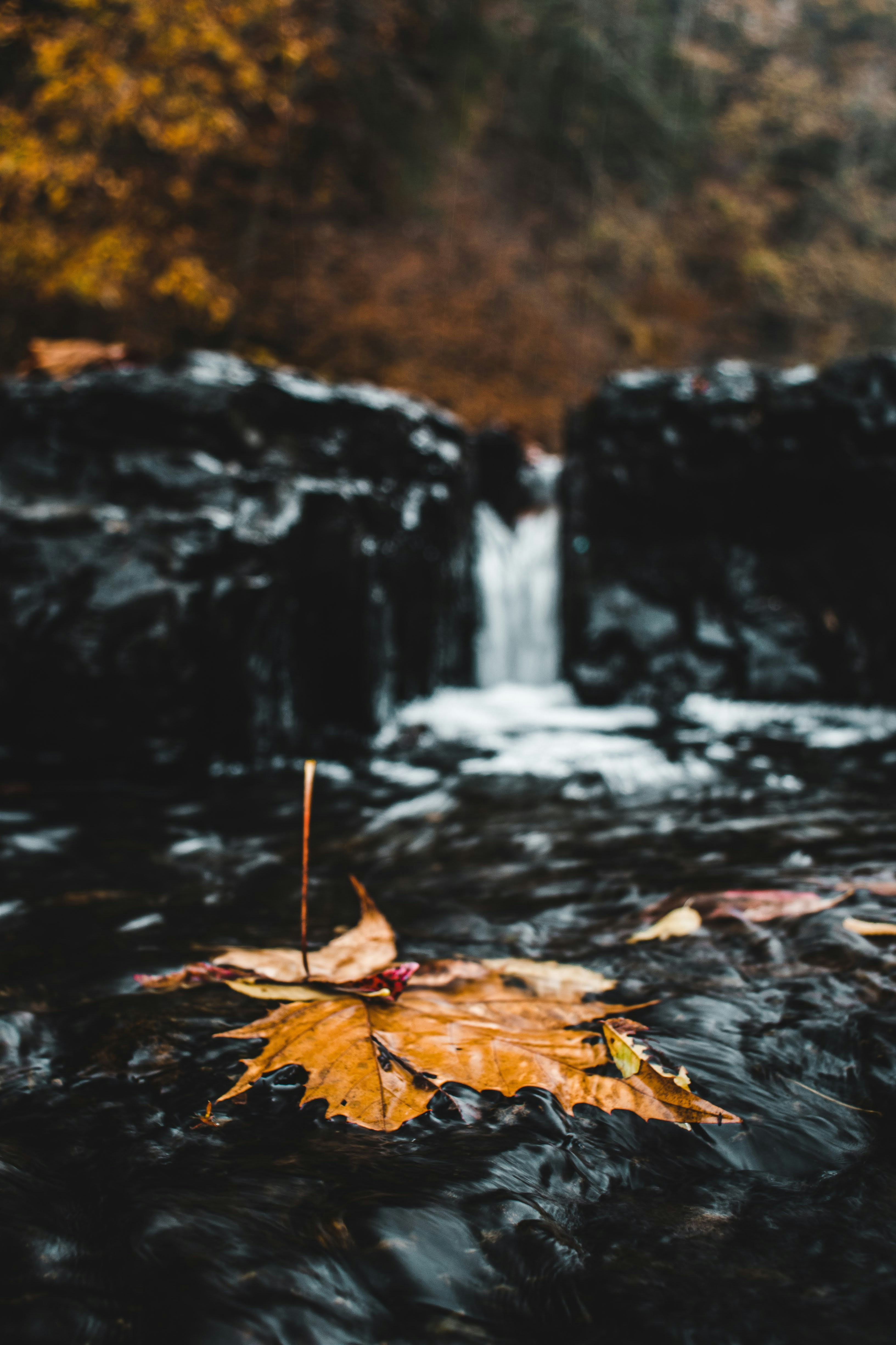Photo by brice_cooper18