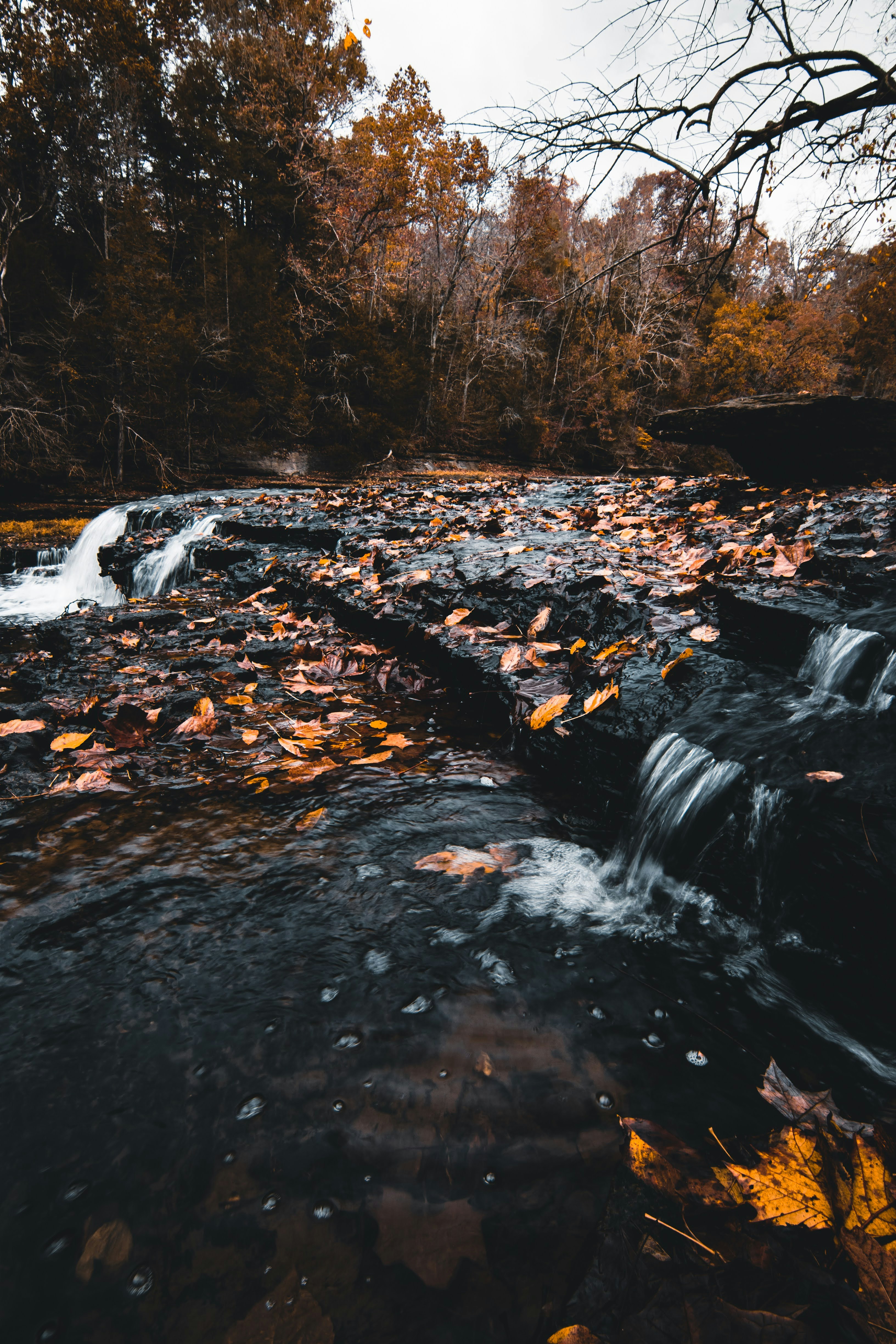 Photo by brice_cooper18