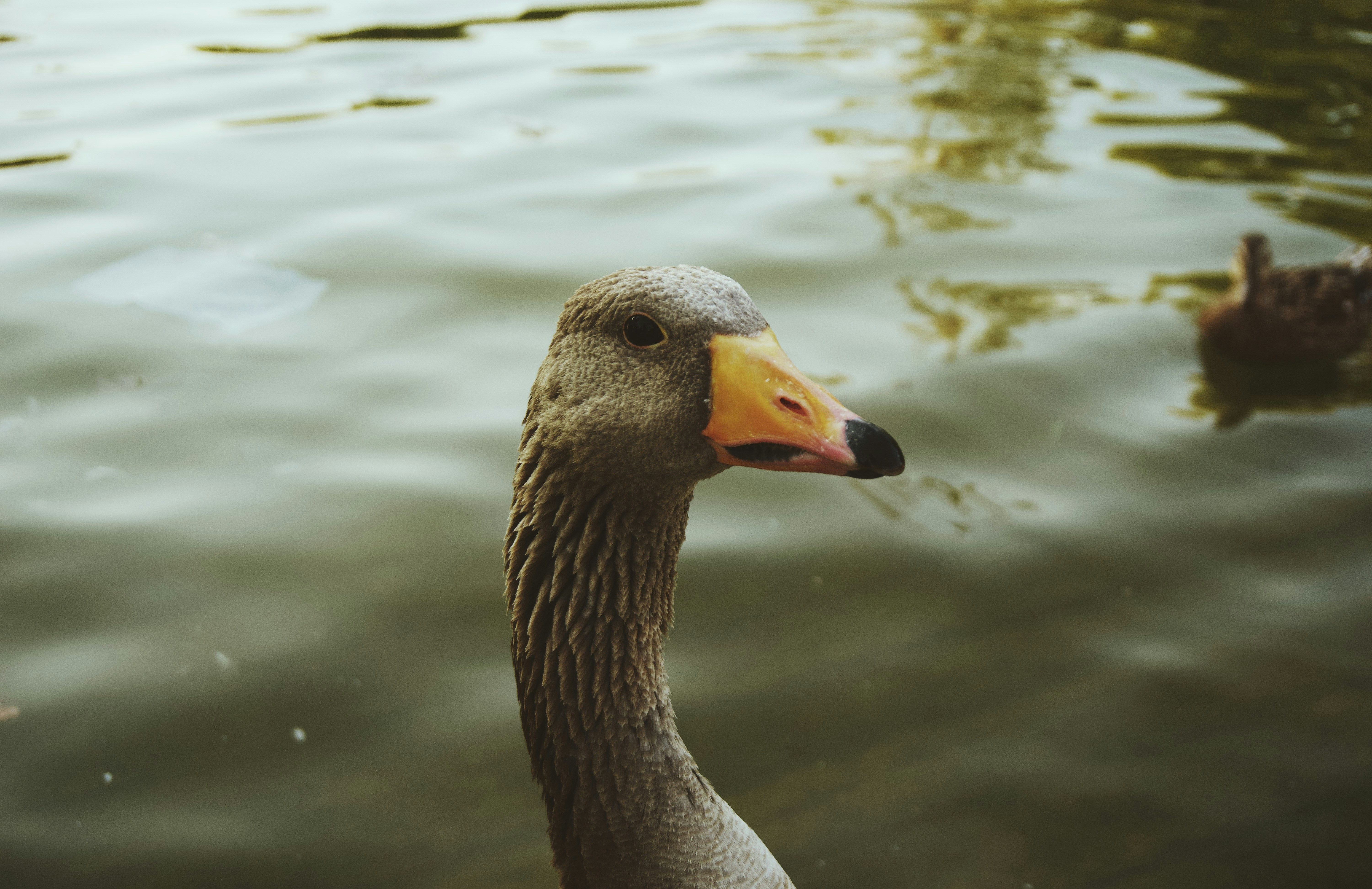 Photo by journey_ghost_444