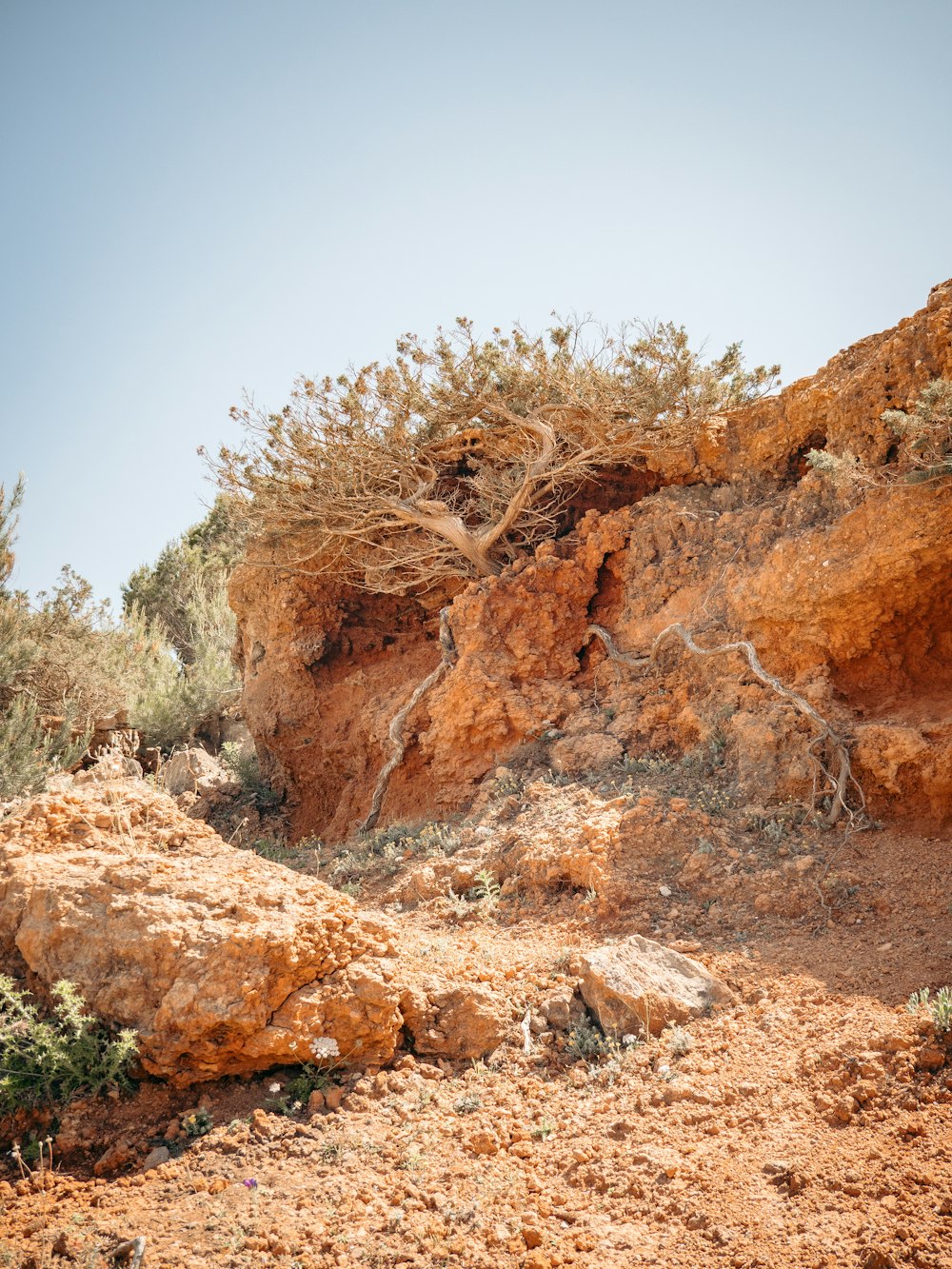 a rocky cliff with trees