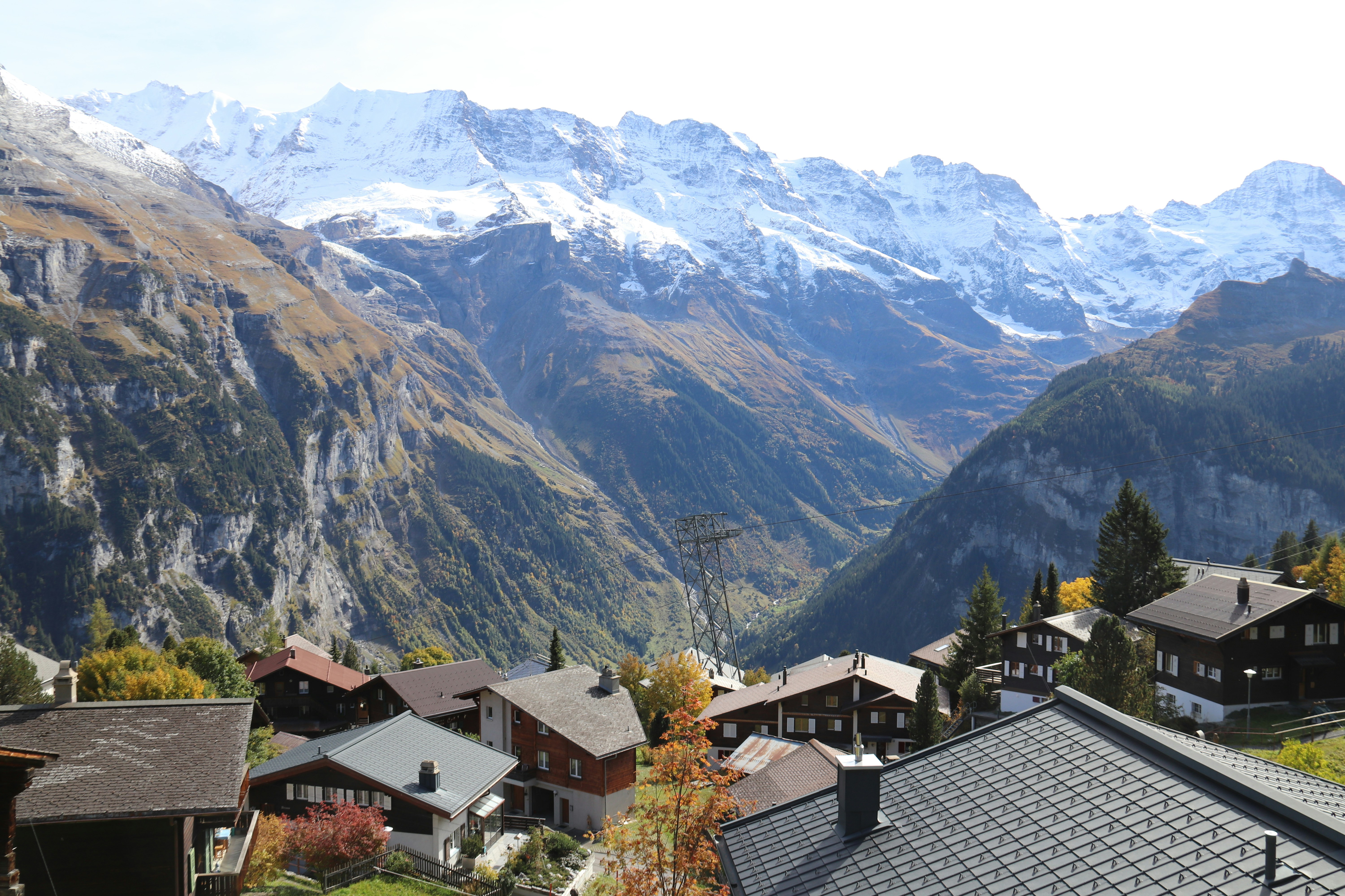 Photo by shalevcohen