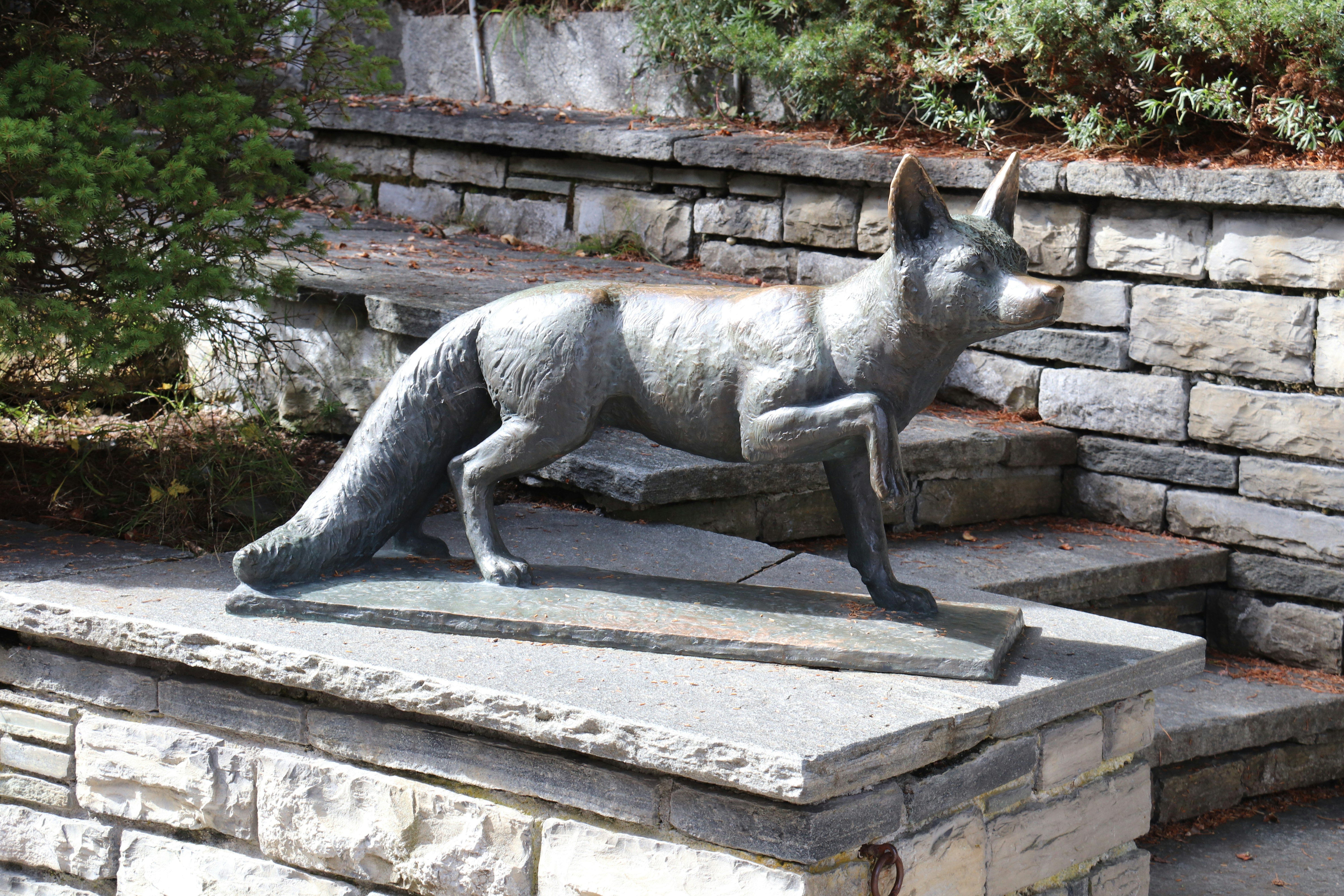 Photo by shalevcohen