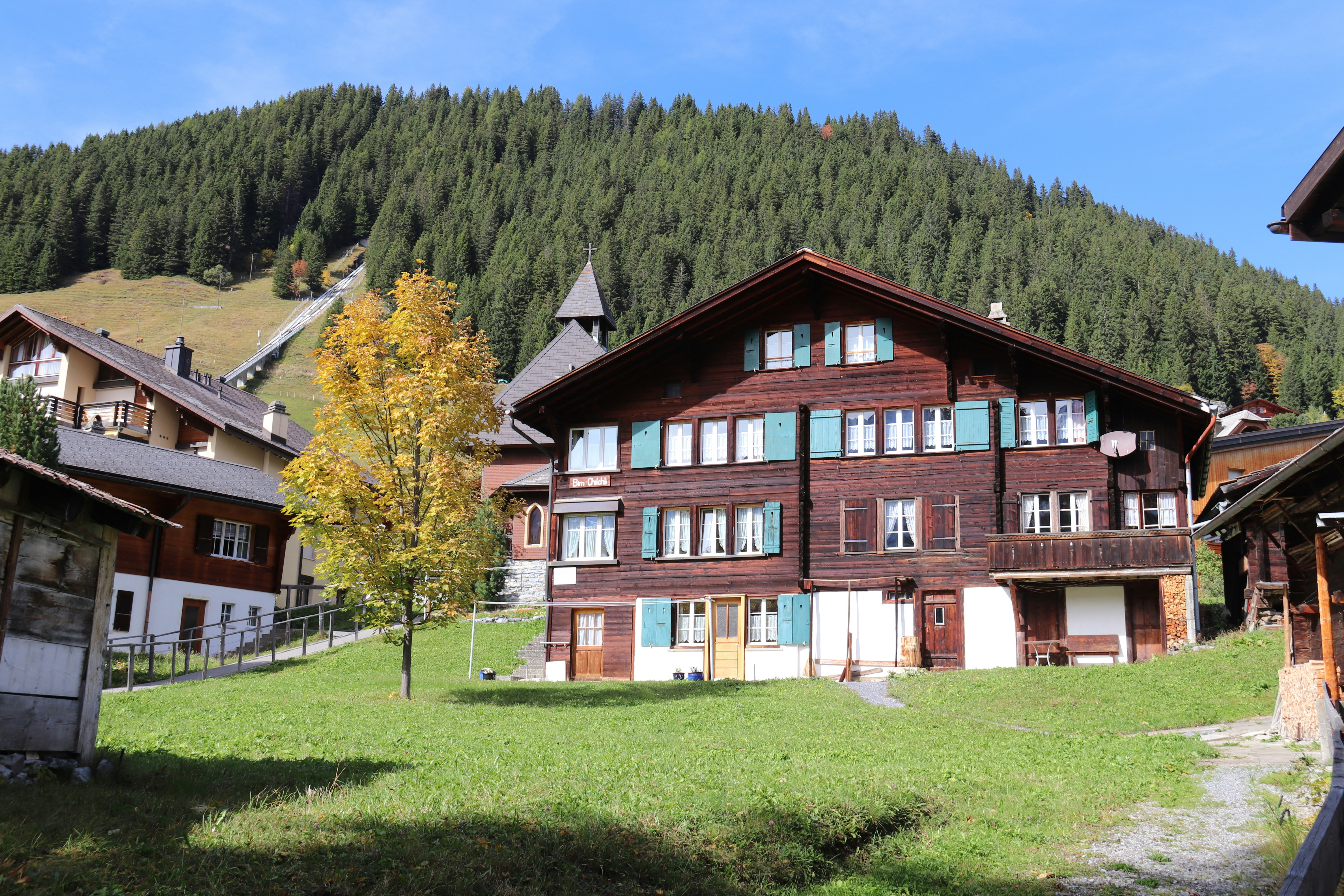 Photo by shalevcohen